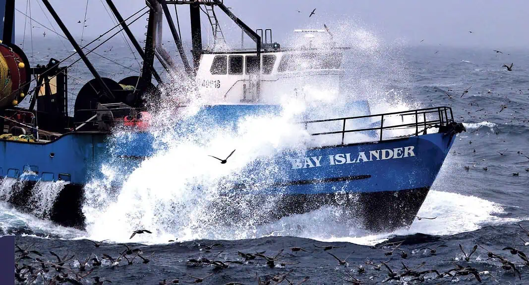 Ocean Conservancy Releases US Fisheries Report (Image credit: Ocean Conservancy)