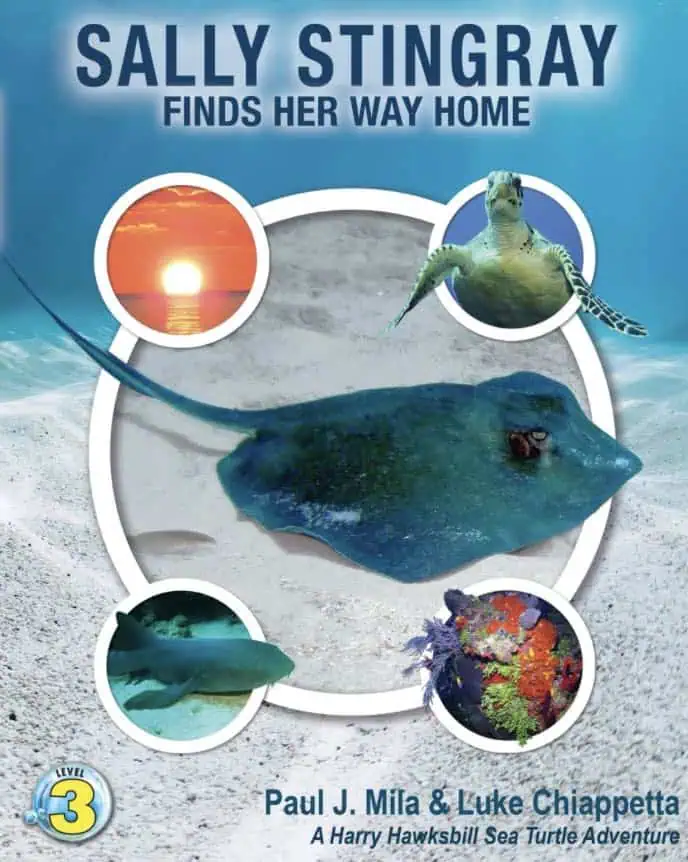 'Sally Stingray Finds Her Way Home' by Paul Mila and Luke Chiappetta