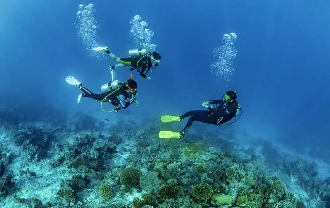 Image credit: One Health Underwater