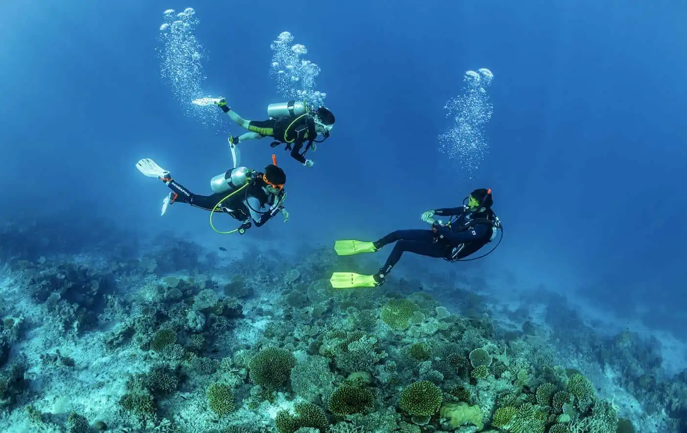 Image credit: One Health Underwater