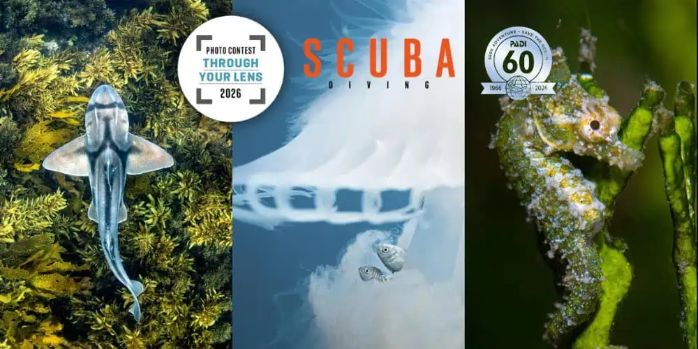 PADI, Scuba Diving Magazine Launch 22nd Annual Underwater Photo Contest