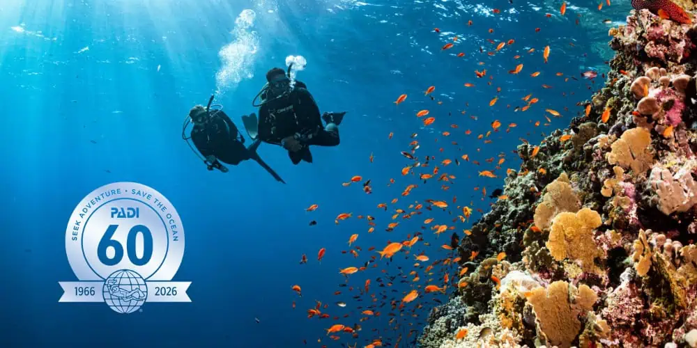 TIME Names PADI to Industry Leaders List