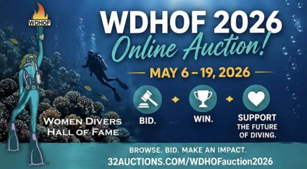 WDHOF 2026 Auction