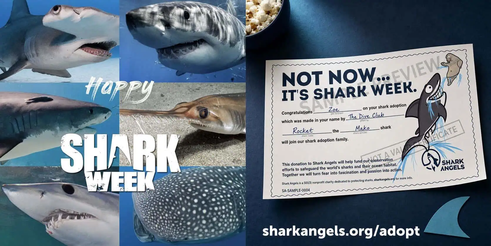 Shark Angels Virtual Shark Adoption - Shark Week 2026