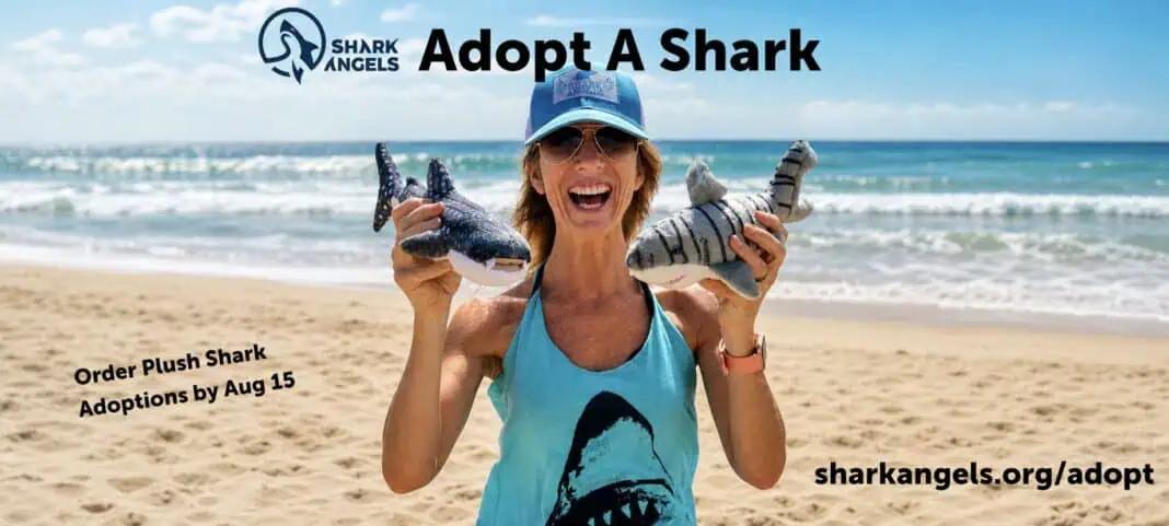 Shark angels shark adoptions limited-run plushies